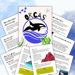 Orca Animal Homeschool Study Unit | Digital Download Curriculum