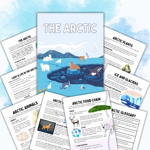 Pode incluir: Um conjunto de materiais educativos sobre o Ártico. A imagem principal apresenta uma ilustração azul e branca de animais e paisagens árticas. Páginas adicionais fornecem informações sobre plantas, animais e a cadeia alimentar ártica.