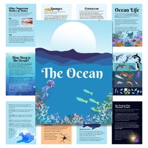 May include: A colorful educational poster about the ocean with illustrations of marine life, sponges, crustaceans, and waves. The poster includes text about the depth of the ocean, the Mariana's Trench, and how to reduce pollution.