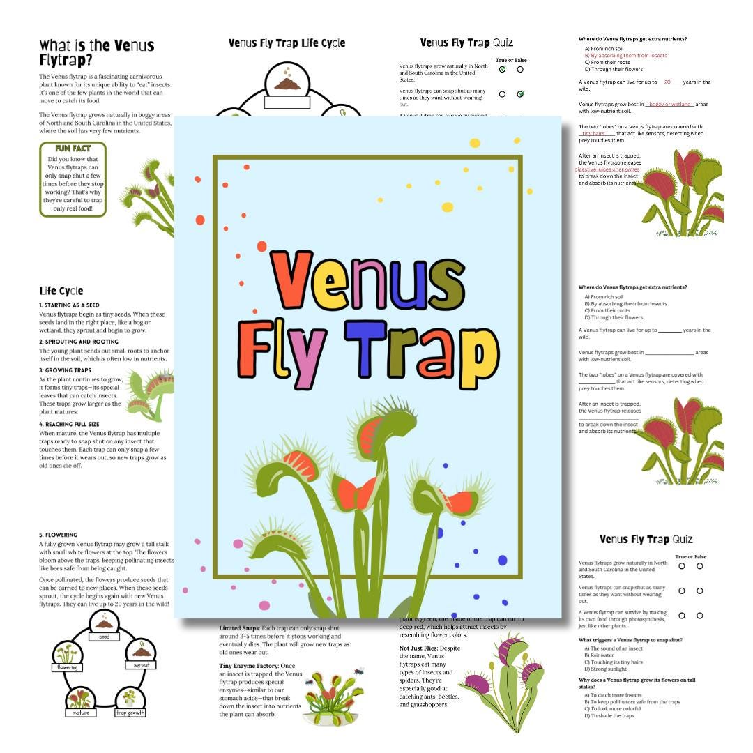 Mini Venus Fly Trap Plant Homeschool Study Unit | Digital Download ...