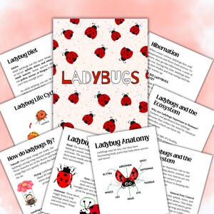 May include: Educational ladybug-themed printables. The central image features the word "LADYBUGS" with a ladybug pattern. Surrounding it are informational sheets about ladybug diet, life cycle, anatomy, and ecosystem, with illustrations.