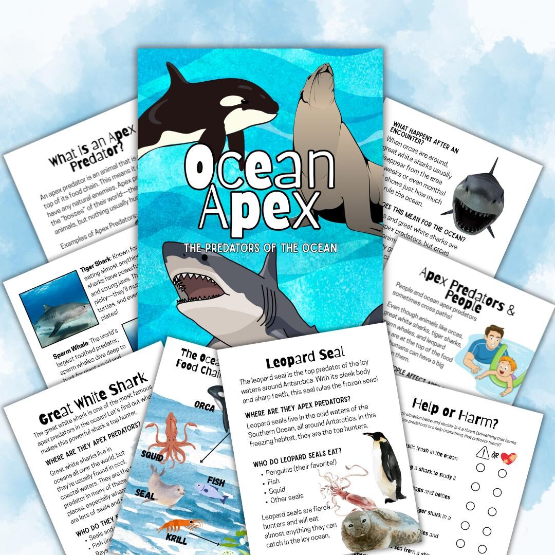 Ocean Apex Homeschool Study Unit | Digital Download Curriculum - Etsy