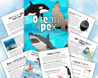 May include: Educational poster titled "Ocean Apex: The Predators of the Ocean" featuring illustrations of marine animals like sharks, orcas, and seals. Includes informational cards about apex predators and their habitats. The poster is designed for educational purposes.