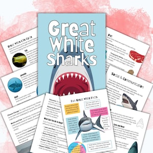 Op de afbeelding: Educatieve poster getiteld "Great White Sharks" met illustraties en feiten over de soort. De poster toont de open bek van een haai, diagrammen van de levenscyclus van de haai en leuke weetjes over hun gedrag en dieet.