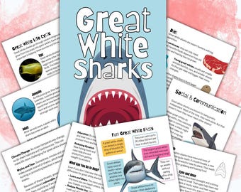 May include: Educational poster titled "Great White Sharks" with illustrations and facts about the species. The poster features a shark's open mouth, diagrams of the shark's life cycle, and fun facts about their behavior and diet.
