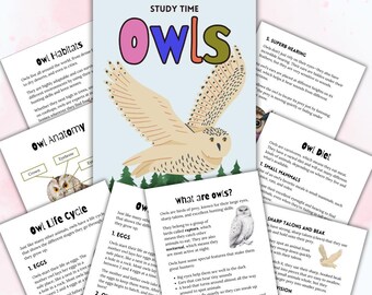 Puede incluir: Una colección de hojas de estudio educativas sobre búhos, con un póster central con el texto STUDY TIME Owls y una ilustración de un búho volando, rodeado de páginas informativas sobre hábitats, anatomía, dieta y ciclos de vida.