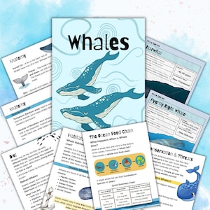 Whales Homeschool Study Unit | Ocean Digital Download Curriculum