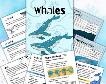 May include: Educational poster set about whales, featuring illustrations and text. The main poster has two blue whales and the word "Whales". Other cards cover anatomy, diet, habitats, and threats to whales.