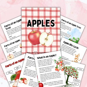May include: Educational poster set about apples, featuring a red and sliced apple illustration on a red and white checkered background. The set includes diagrams and text explaining apple parts and the apple life cycle.