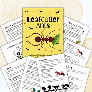 May include: A set of educational cards titled "Leafcutter Ants" with illustrations of ants and leaves. The cards are yellow with black ant graphics and text, and include information about ant anatomy and facts.
