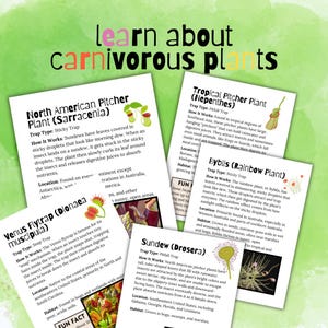 Carnivorous Plants Homeschool Study Unit | Digital Download Curriculum ...