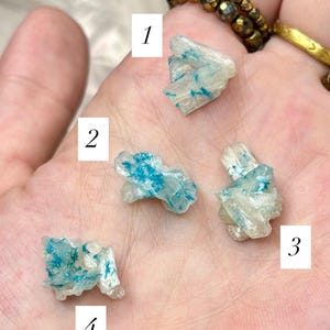 Op de afbeelding: Vier kleine, doorschijnende kristalclusters met blauwe insluitsels worden in een hand getoond. De kristallen zijn genummerd van 1 tot en met 4. Een goudkleurige kralenring en een gouden ring zijn zichtbaar op de achtergrond.
