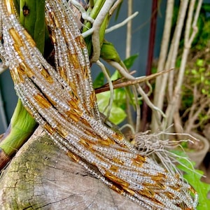 Tie On West African Waist Beads