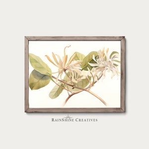Vintage Honeysuckle Watercolor Painting | Delicate Botanical Art | Instant Digital Download | #295