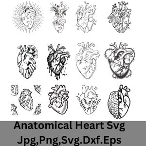 Cuore anatomico SVG: decalcomania clipart medica (file digitale)