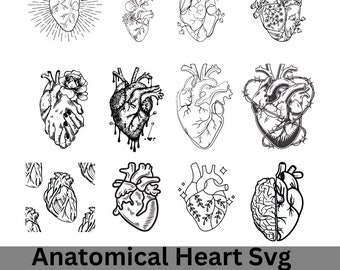 Anatomical Heart SVG: Medical Clip Art Decal (Digital File)