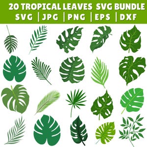 Tropical Leaves Svg Bundle, Tropical Leaf Svg, Palm Leaves Svg, Palm Branch Svg, Jungle Leaves Svg, Monstera Svg, Tropical Svg, Party Decor