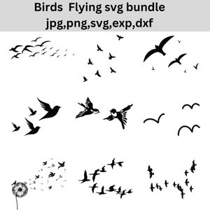 Puede incluir: Una descarga digital de 10 ilustraciones vectoriales en blanco y negro de pájaros en vuelo. Los pájaros están en varias posiciones y tamaños. Las ilustraciones son perfectas para usar en manualidades, scrapbooking y otros proyectos creativos.