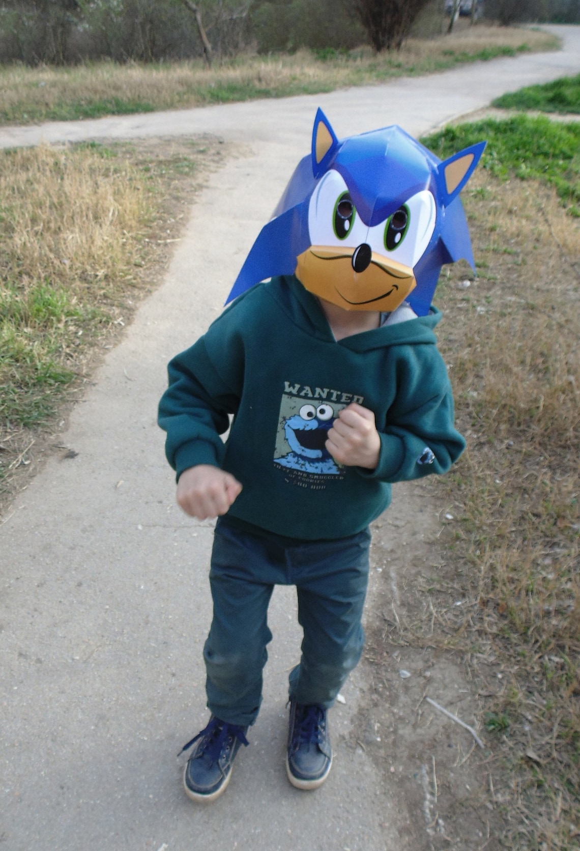 Sonic Mask Sonic Costume Sonic Paper Mask Sonic the Etsy