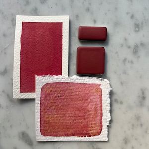 Primrose | Handmade Watercolor | Half pan | Quarter Pan
