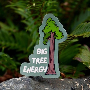 Big Tree Energy Waterproof Nature Lover Sticker, Old Growth Sticker for Water Bottle or Laptop