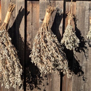 Può includere: Diversi mazzi di erbe essiccate sono appesi contro una staccionata di legno stagionato. Le erbe, legate con spago, presentano una tonalità verde chiaro e marrone. La staccionata di legno è composta da assi verticali.