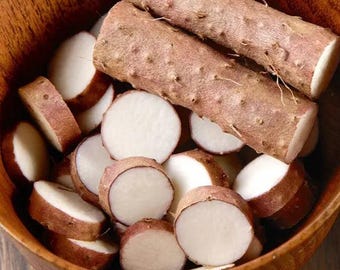 Proszek z korzenia dzikiego pochrzynu | Suplement ziołowy najwyższej jakości | Wsparcie hormonalne i dobre samopoczucie | 100% naturalny