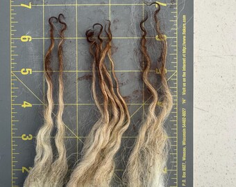 Jacqueline Lambswool Raw Fleece 1lb 4oz Icelandic wool--rugmaking, spinning wheel, raw wool, virgin wool, knitting, crochet, felting, sheep