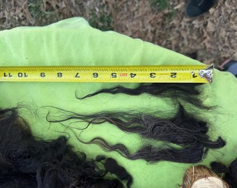 ISOLDE Raw wool Icelandic sheep wool, 3#8oz whole fleece, raw wool, Icelandic wool, wool for spinners, wool for rugs, wool needle felting