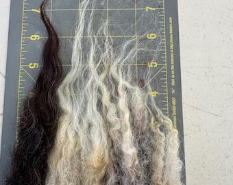 IRIS Icelandic Wool Raw Fleece 3lb 8oz --rugmaking, spinning wheel, raw wool, woolwork, knitting, crochet, felting, weaving, sheep