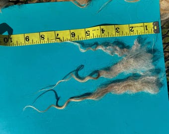 ISOBEL Icelandic Wool Raw Fleece 2lb 5oz --rugmaking, spinning wheel, raw wool, woolwork, knitting, crochet, felting, weaving, sheep