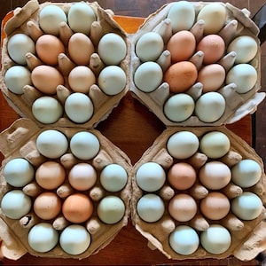 Egg Shell Powder, Garden Calcium Supplement, 2lbs