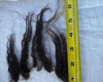 JOLENE Lambswool Raw Fleece 1lb 5oz Icelandic wool--rugmaking, spinning wheel, raw wool, virgin wool, knitting, crochet, felting, sheep