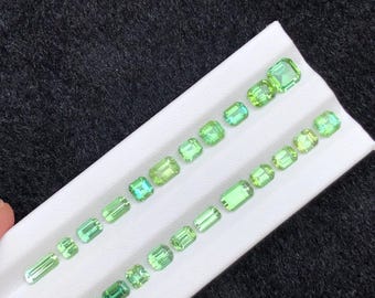 Könnte beinhalten: Eine Sammlung verschieden großer, hellgrüner Edelsteine, angeordnet auf einem weißen Tablett. Die Edelsteine sind rechteckig und quadratisch geschliffen, mit einer Farbpalette von blass bis leuchtend grün. Das Tablett wird vor einem dunklen Hintergrund gehalten.
