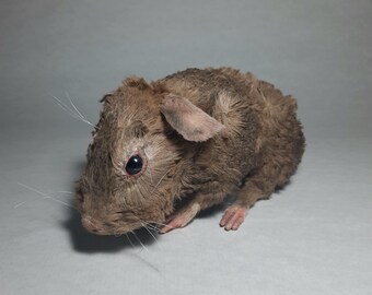 Tiny Heart Mol pluche dier - levensechte 8-inch ratten knuffeldier het perfecte schattige verjaardagscadeau voor kinderen realistisch dierspeelgoed