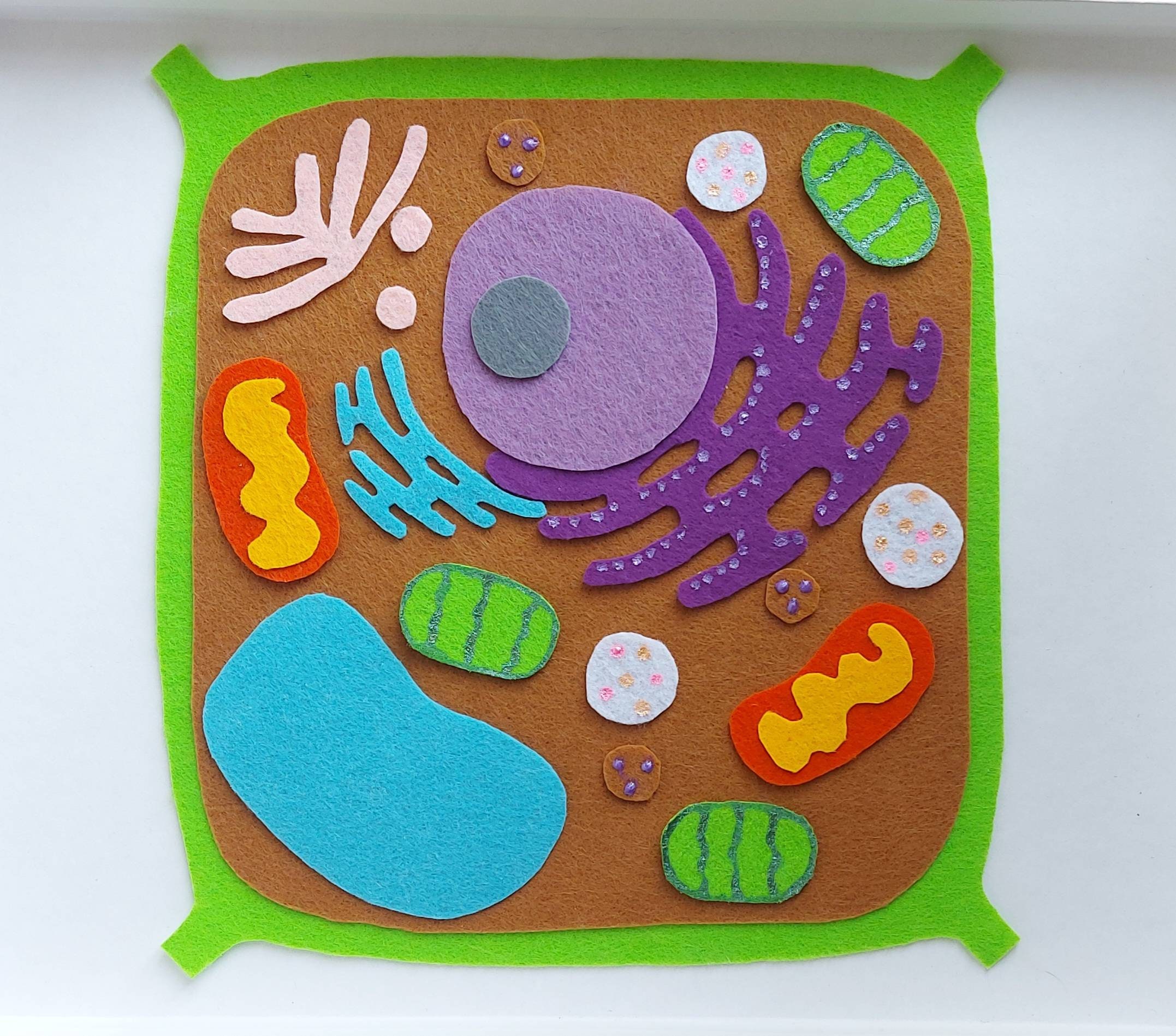Plant Cell Plant Cell Felt Set Plant Cell Model Montessori Etsy UK