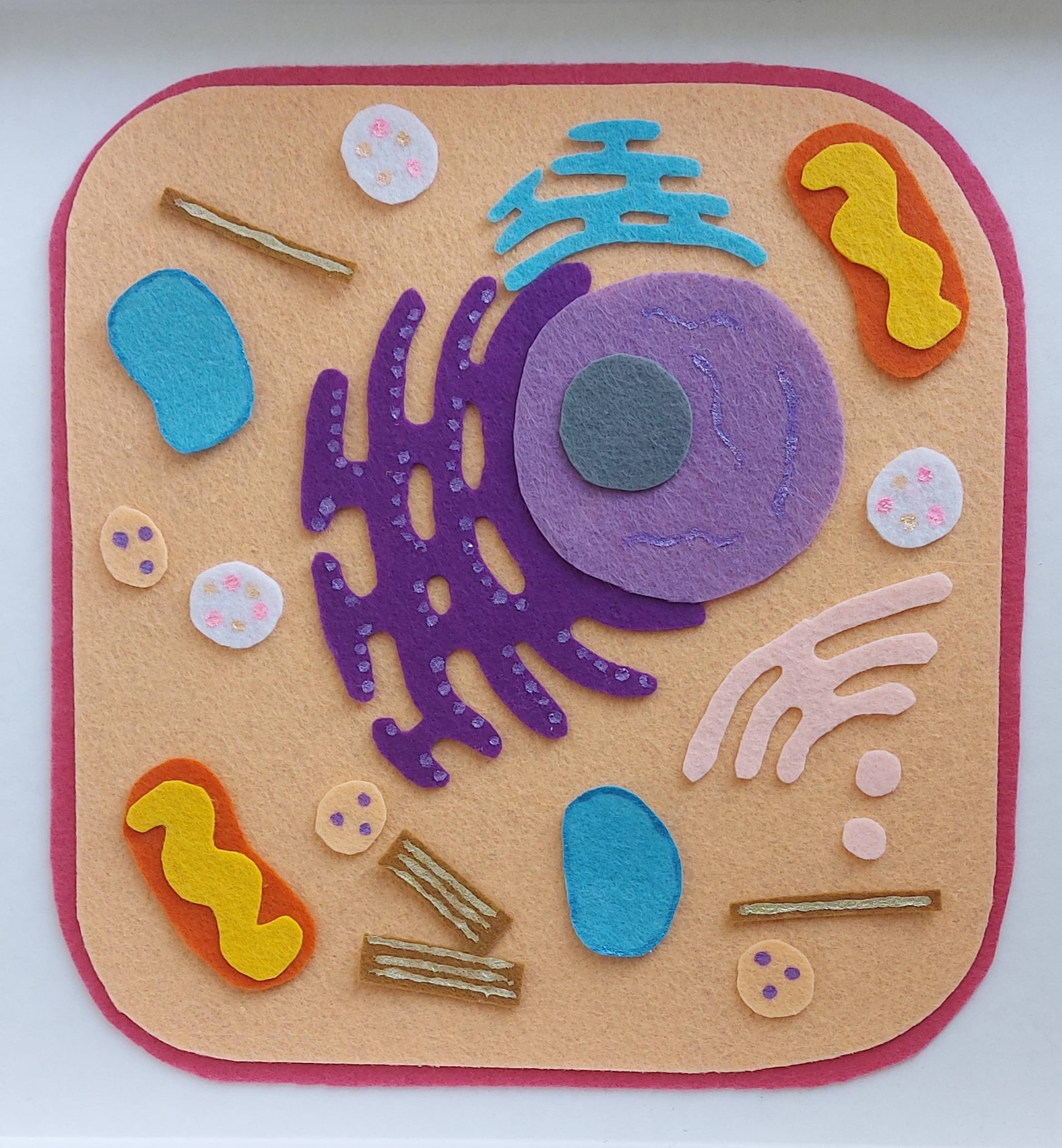 Animal Cell Animal Cell Model Animal Cell Felt Set Etsy