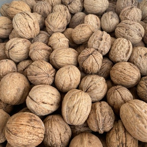 Natural Walnuts in Shell, Natural Foods From Turkey - From Our Own Farm