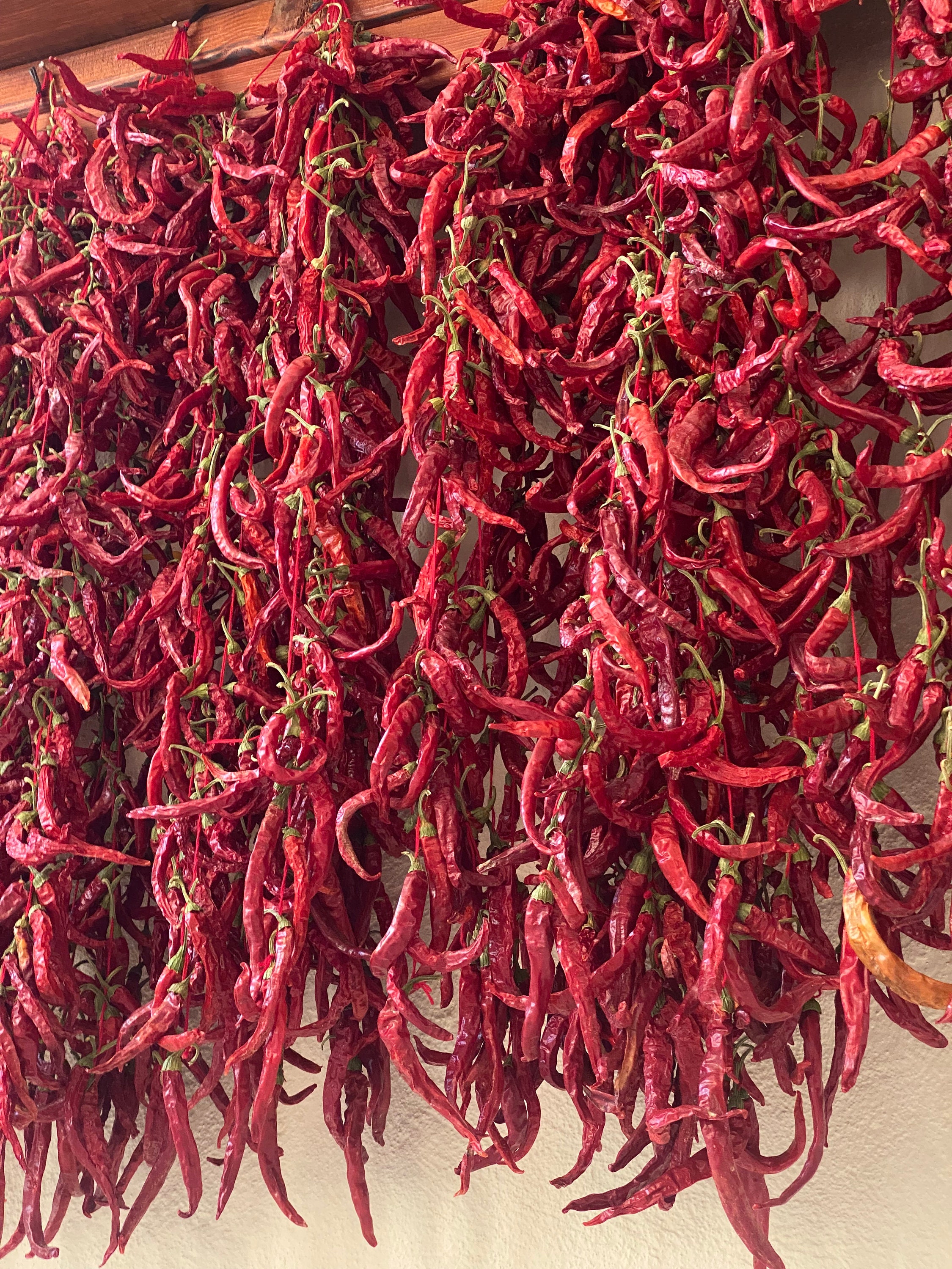 Sun Dried Peppers hot Natural and Delicious Dry Foods Etsy