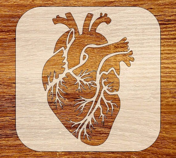 Anatomical Heart Stencil Download