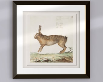 Vintage cuadrado primavera liebre acuarela ilustración reproducción imprimible, caprichoso saltando conejito conejo retro estética Pascua arte digital