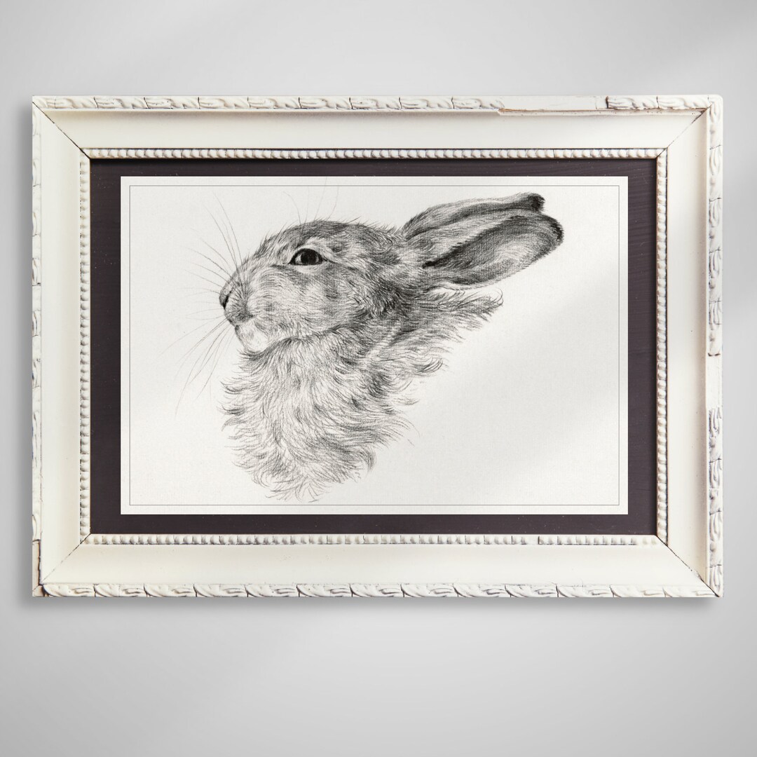 Vintage Spring Rabbit Reproduction Charcoal Pencil Drawing, Hand Drawn ...