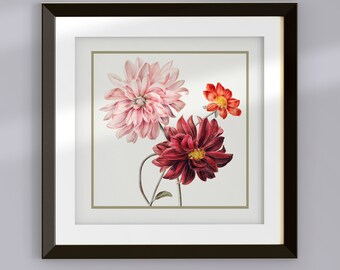 Vintage Square Scarlet Red Blush Pink Dahlias In Bloom Spring Reproduction Oil Painting Printable, Retro Aesthetic Fresh Spring Digital Art
