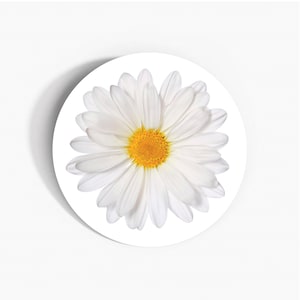 White Daisy Delights: 37mm selbstklebende Papieraufkleber - Umweltfreundliche Multipack-Schreibwaren Bastel-Dekor-Etiketten