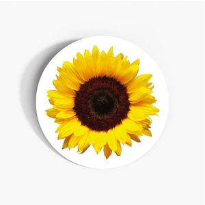 Sunflower Sunshine: 37mm umweltfreundliche selbstklebende Papieraufkleber - Multipack für Schreibwaren, Kunsthandwerk und Dekor