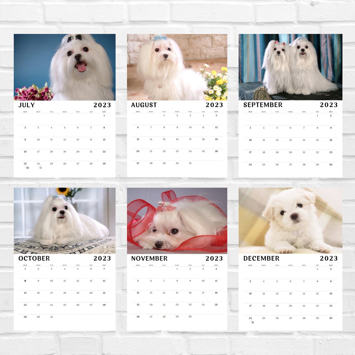Maltese 2023 Calendar Dog Lovers Gift Etsy UK