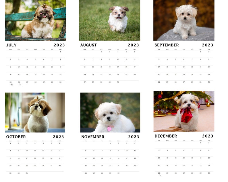 shih-tzu-calendar-2023-dog-lover-gift-etsy