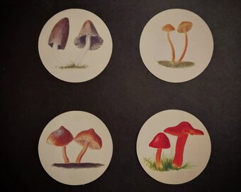 Naturalist Mushroom Stickers - Set of 8