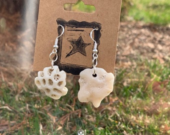 fossilized coral earrings