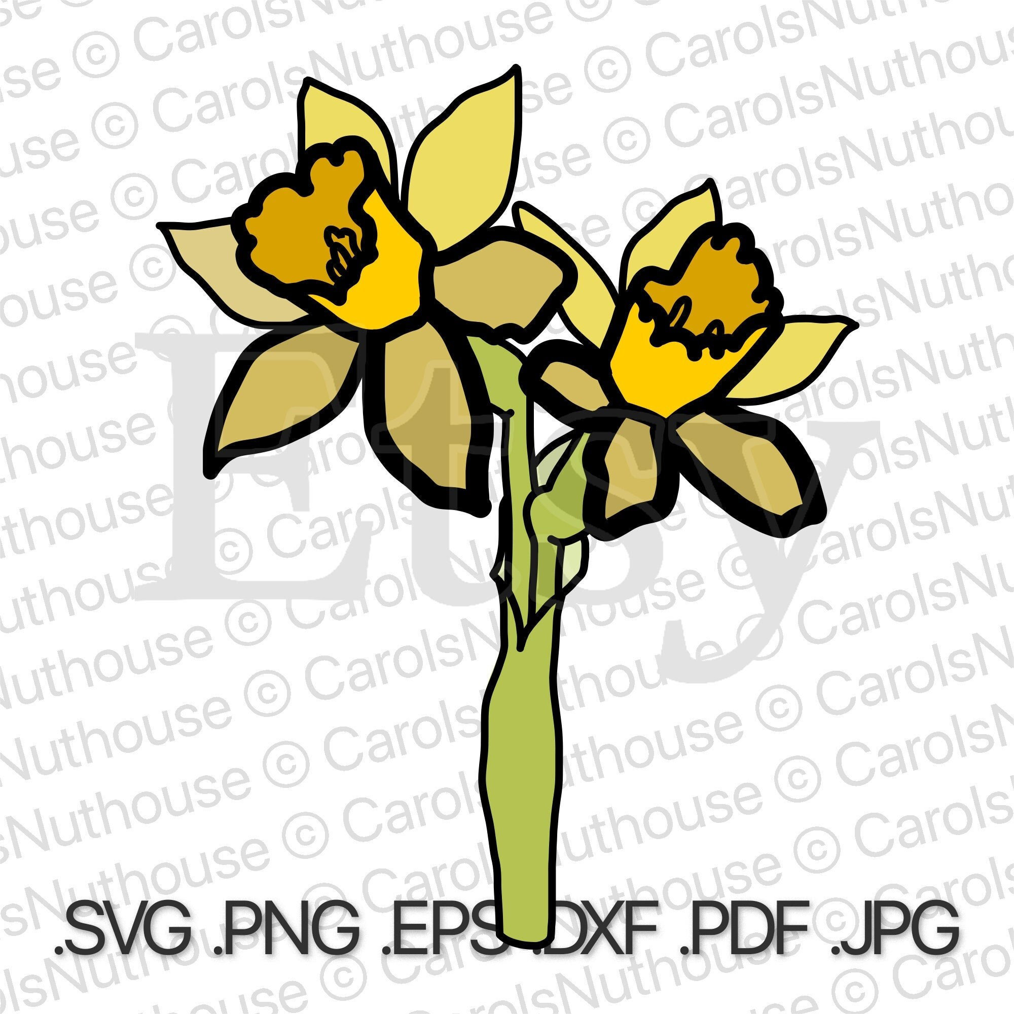 December Narcissus SVG, Narcissus Flower Svg, December Flower Svg, December Girl SVG, Delicate